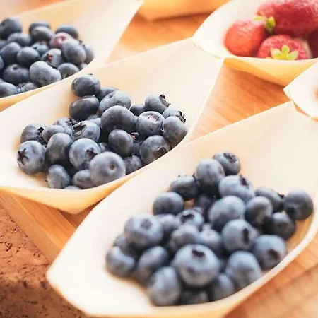 Szálloda Vienna House By Wyndham Diplomat 4*